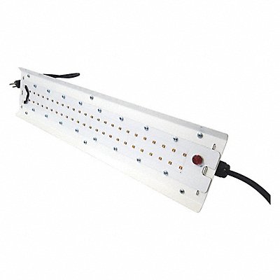 Disinfecting Lights image
